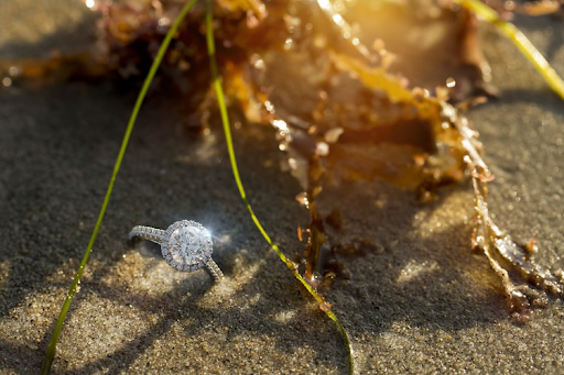 Diamantes de memorial pode ajudar a tornar um animal de estimação eterno